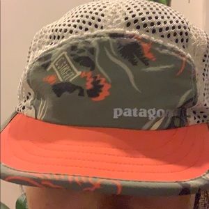 Patagonia hat